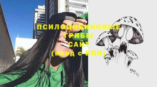apvp Абинск