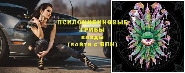 стаф Абаза
