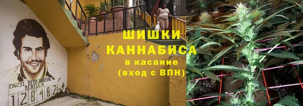 стаф Абаза