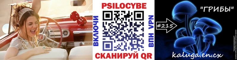Псилоцибиновые грибы прущие грибы  ссылка на мегу сайт  Нестеровская 